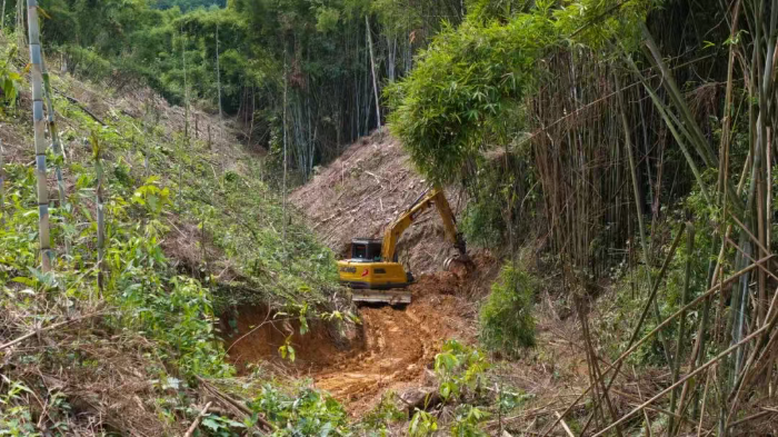 林间“藏龙”，竹海“卧虎”——yl23455永利林业挖机广西侠客行